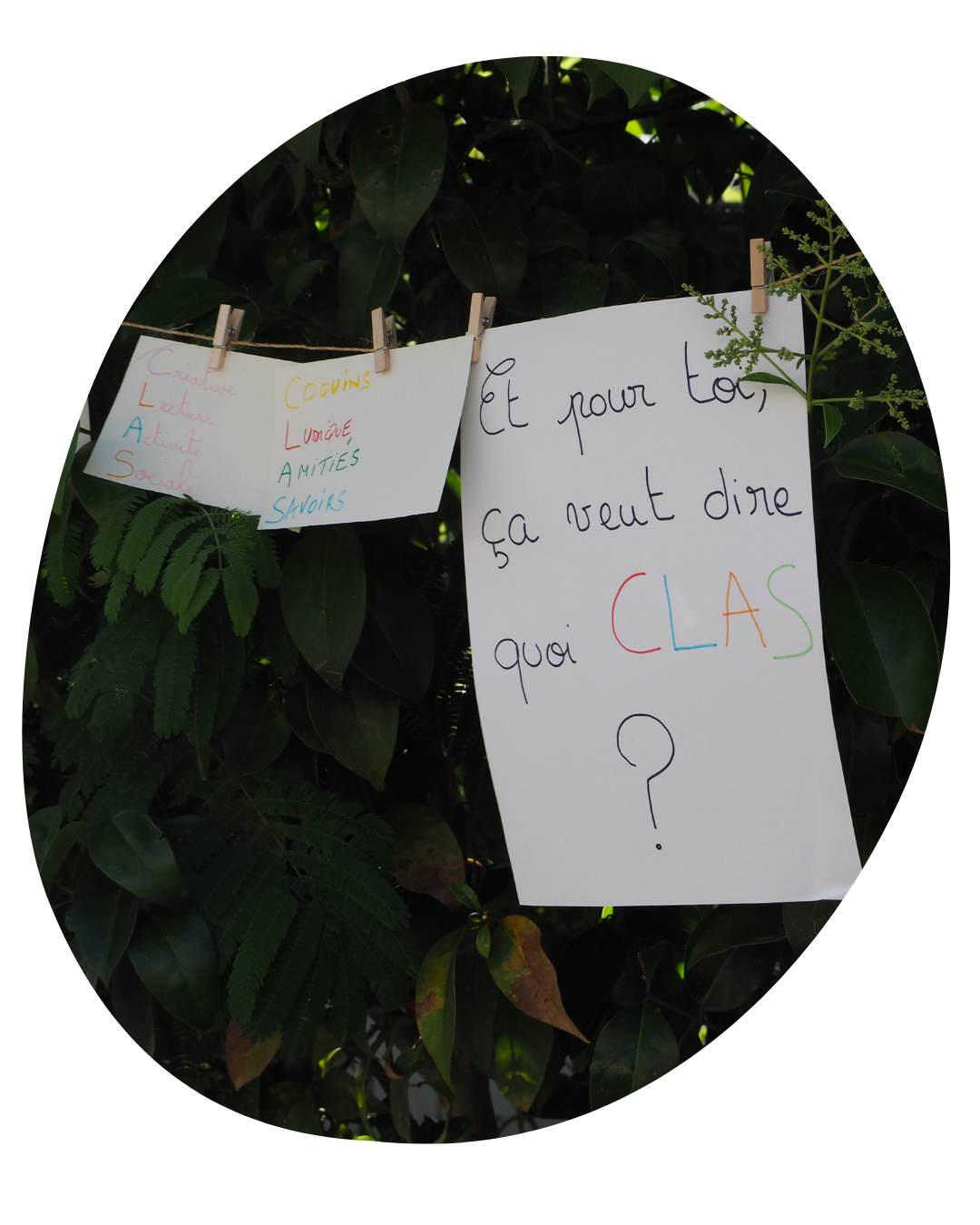 CLAS 3